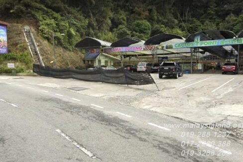 Website - Cameron Highlands - Cactus Point