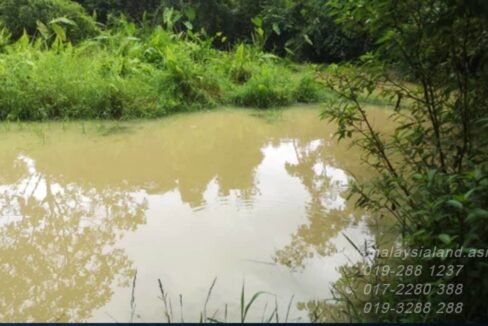 Website - Tampin 25 acres - River 2