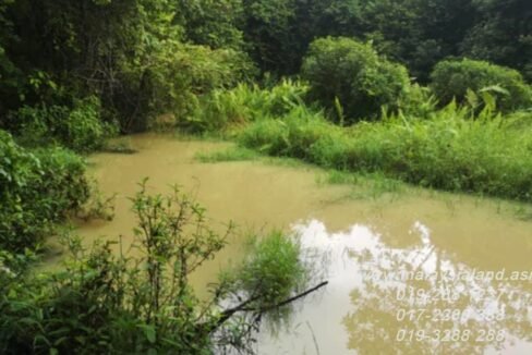 Website - Tampin 25 acres - River