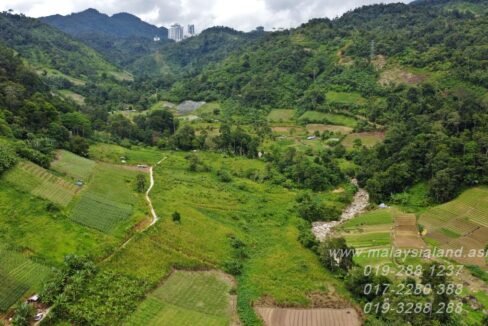 Web post - Bukit Tinggi - 2.25 - Aerial View - 4