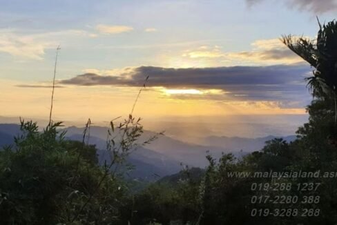 Webpost - Kokol hill