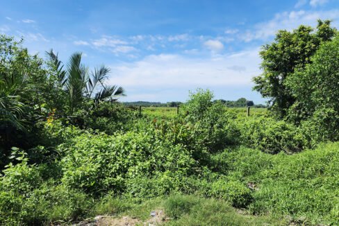 Batu Pahat 20 acres agriland zoned industrial-1