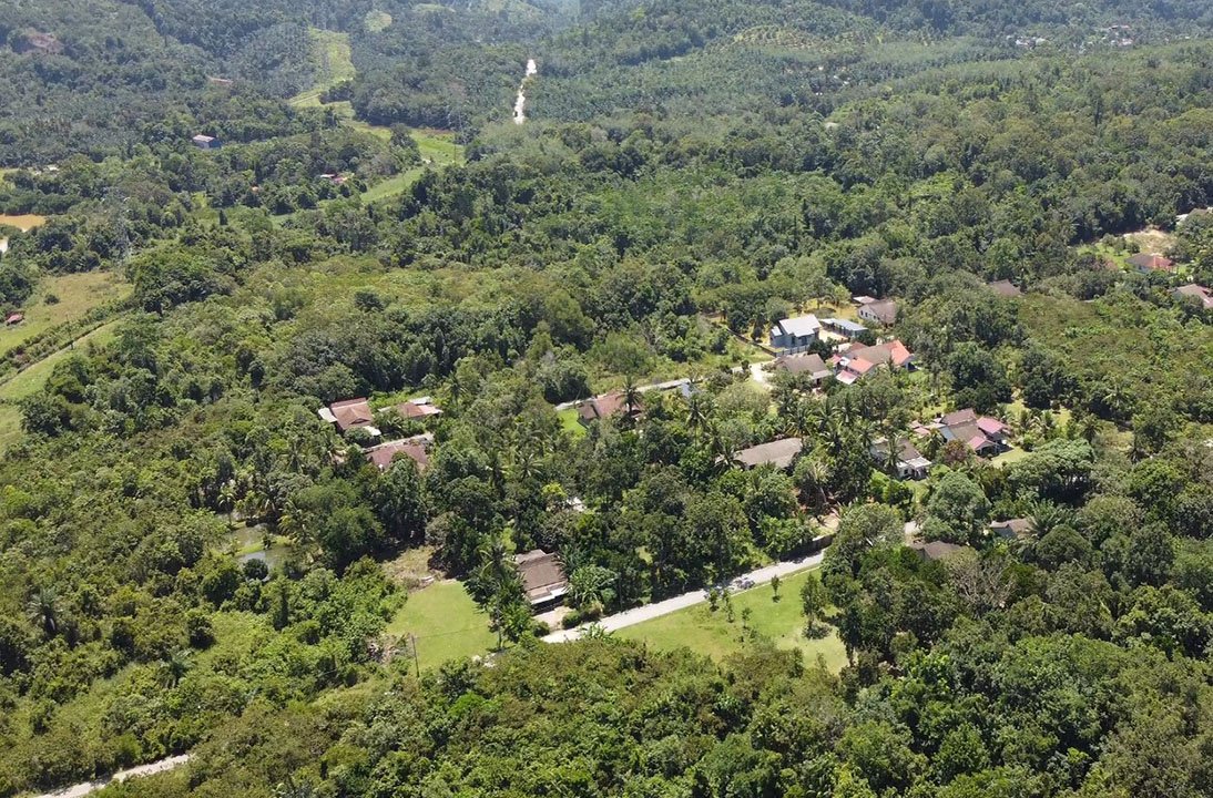 Plot B toward Plot C Aerial